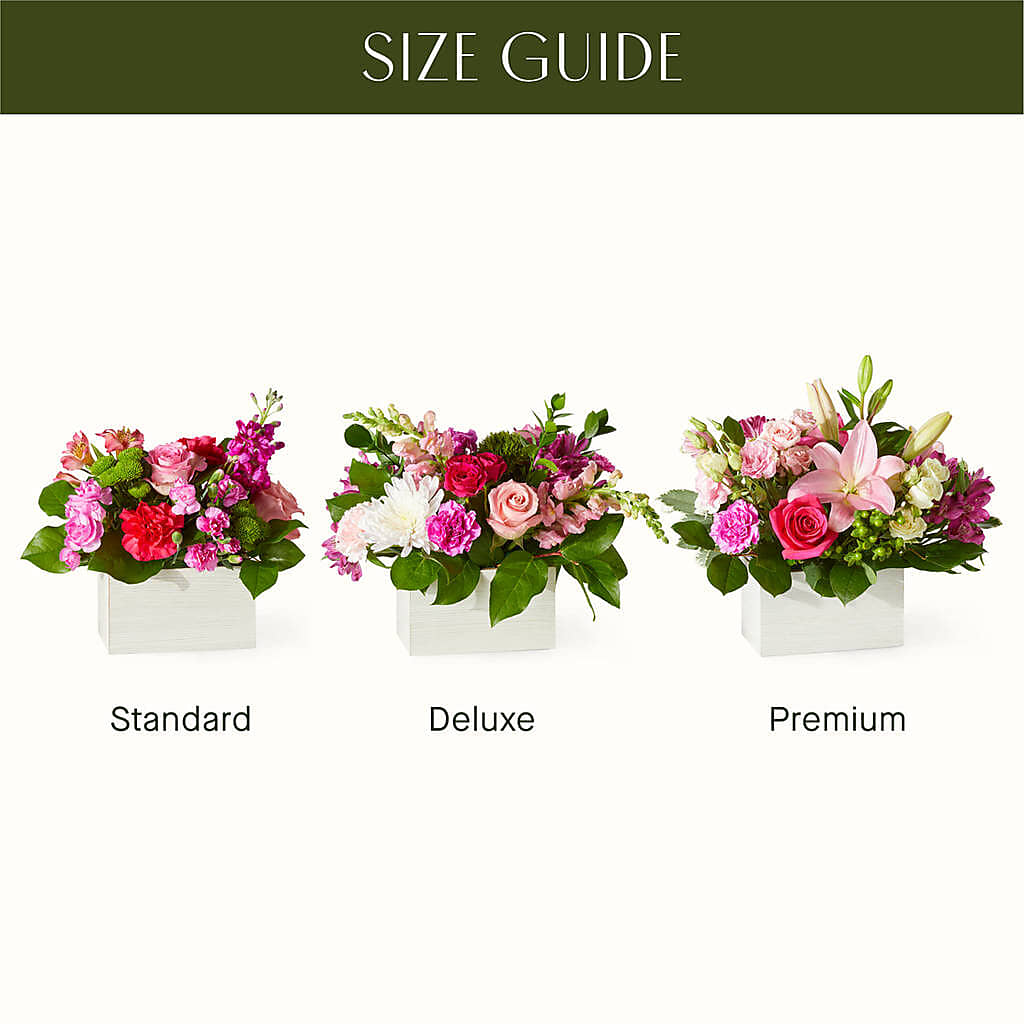 Sweetberry Box – A Florist Original – Noor Florist Llc, Lake Villa IL