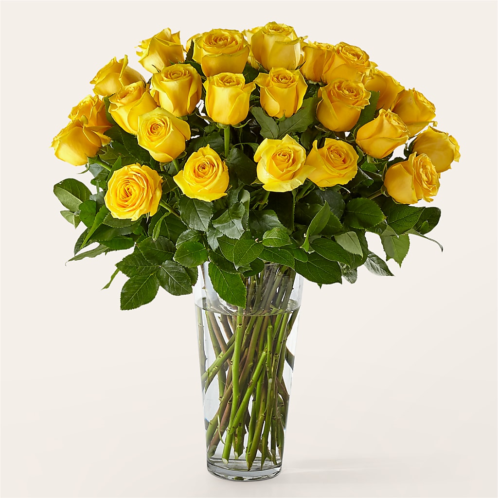 Long Stem Yellow Rose Bouquet – Noor Florist Llc, Lake Villa IL