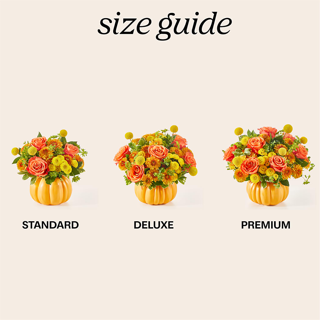 Gourdgeous Pumpkin – Noor Florist Llc, Lake Villa IL