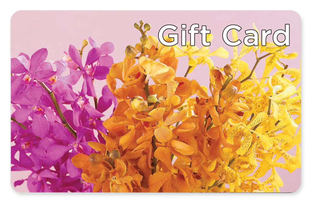 Gift Card – Noor Florist Llc, Lake Villa IL