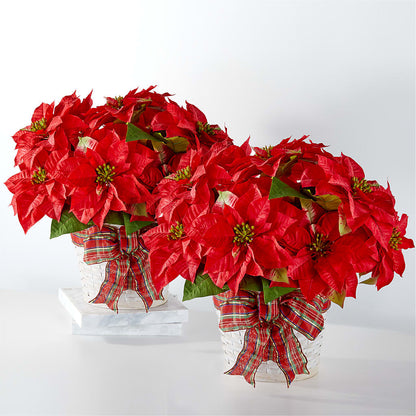 Happiest Holidays Poinsettia Bundle –  Noor Florist Llc, Lake Villa IL