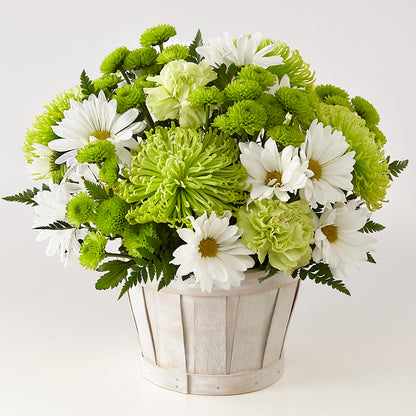 Lucky Charm Basket (Standard) –  Noor Florist Llc, Lake Villa IL