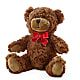 Adorable Plush Bear –  Noor Florist Llc, Lake Villa IL