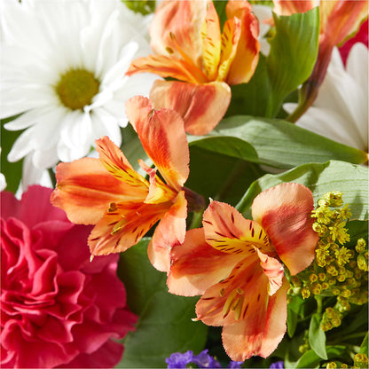 Oopsie Daisy Box Bouquet –  Noor Florist Llc, Lake Villa IL