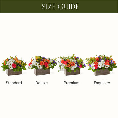 Oopsie Daisy Box Bouquet –  Noor Florist Llc, Lake Villa IL