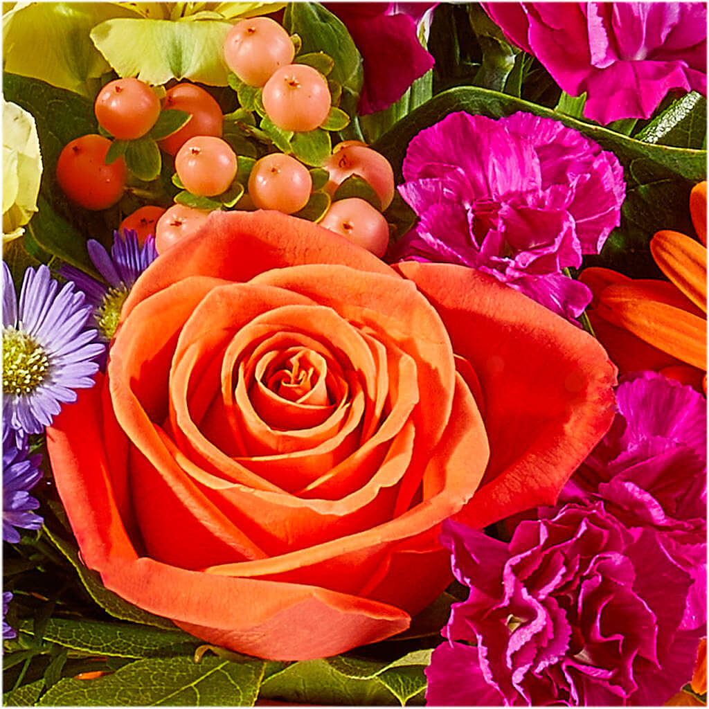 Tricks & Treats Pumpkin –  Noor Florist Llc, Lake Villa IL