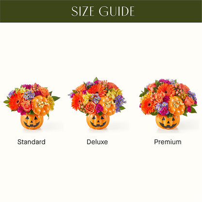 Tricks & Treats Pumpkin –  Noor Florist Llc, Lake Villa IL