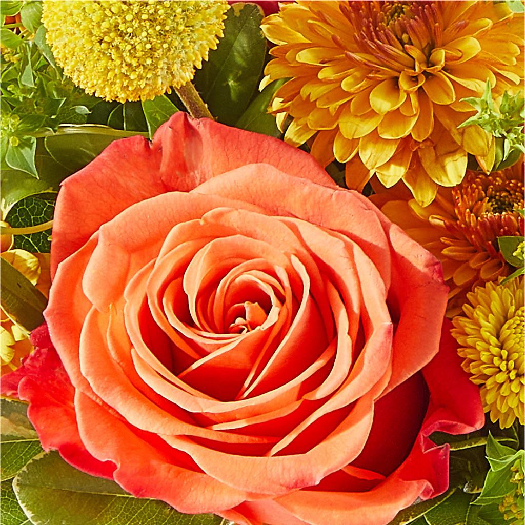 Gourdgeous Pumpkin –  Noor Florist Llc, Lake Villa IL