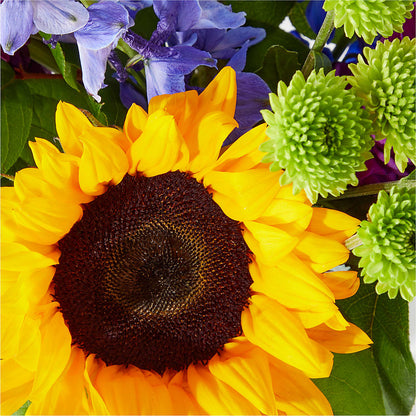 Catching Rays Bouquet –  Noor Florist Llc, Lake Villa IL