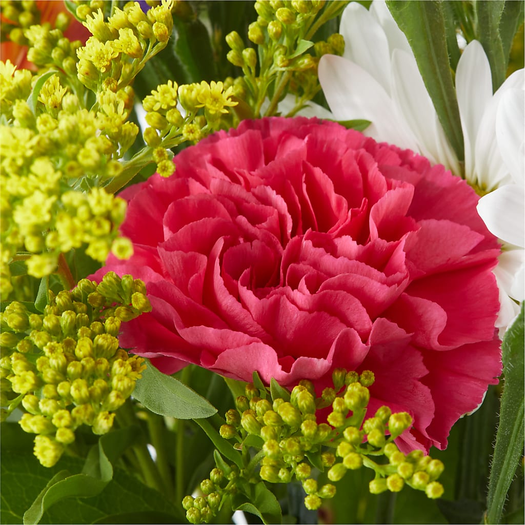 Oopsie Daisy Bouquet –  Noor Florist Llc, Lake Villa IL