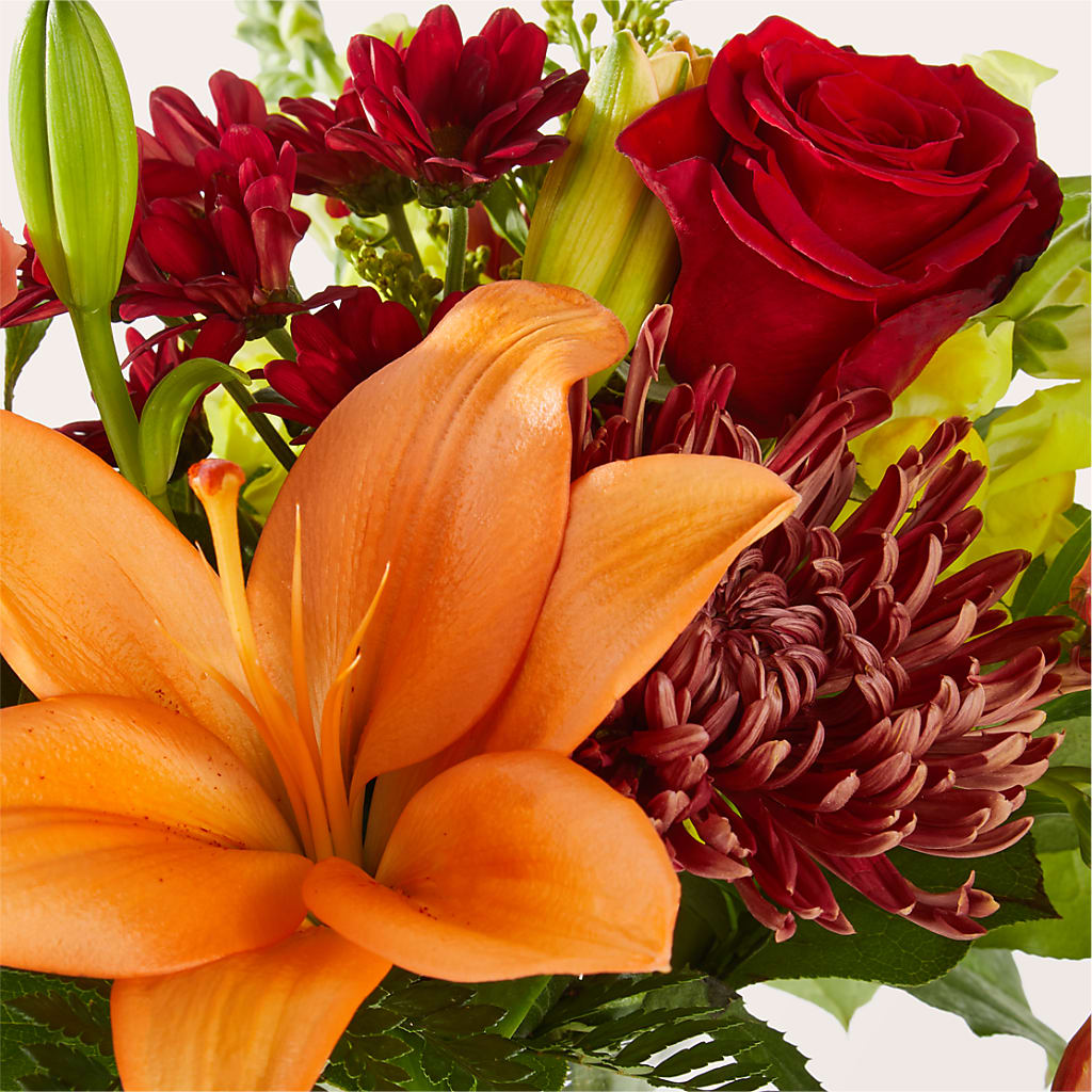 Temporada de Suéteres - Un Original de Florist