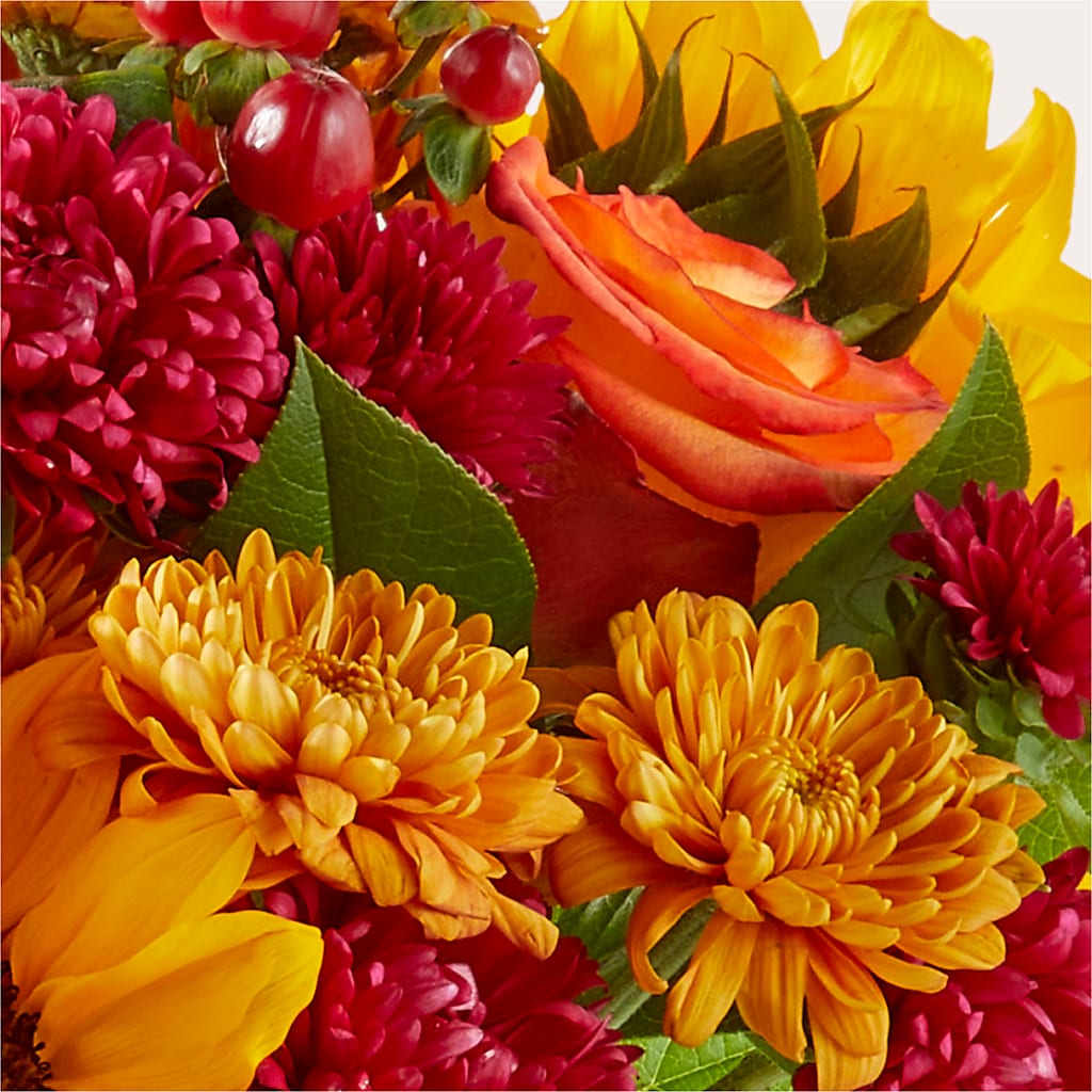 Temporada de Suéteres - Un Original de Florist