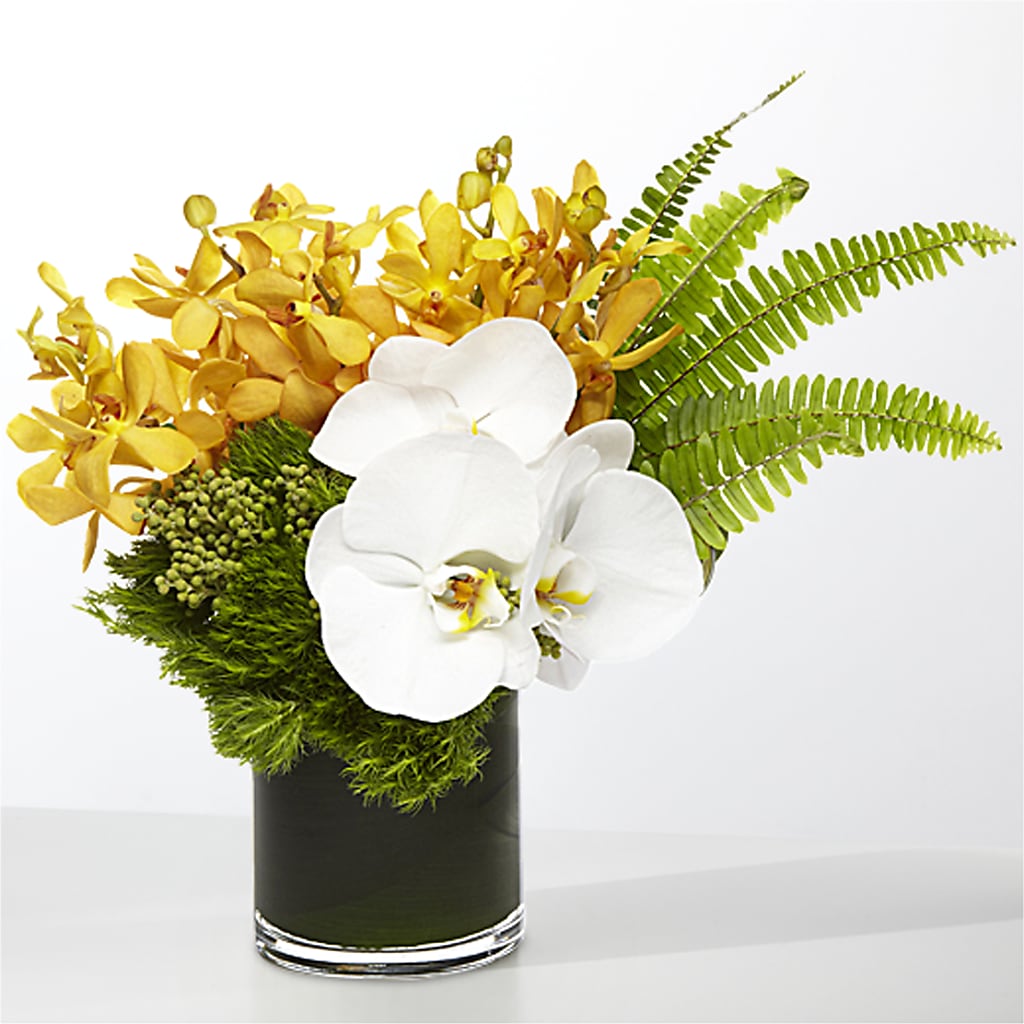 The Tropics –  Noor Florist Llc, Lake Villa IL
