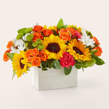 Sun-drenched Blooms Box Bouquet –  Noor Florist Llc, Lake Villa IL