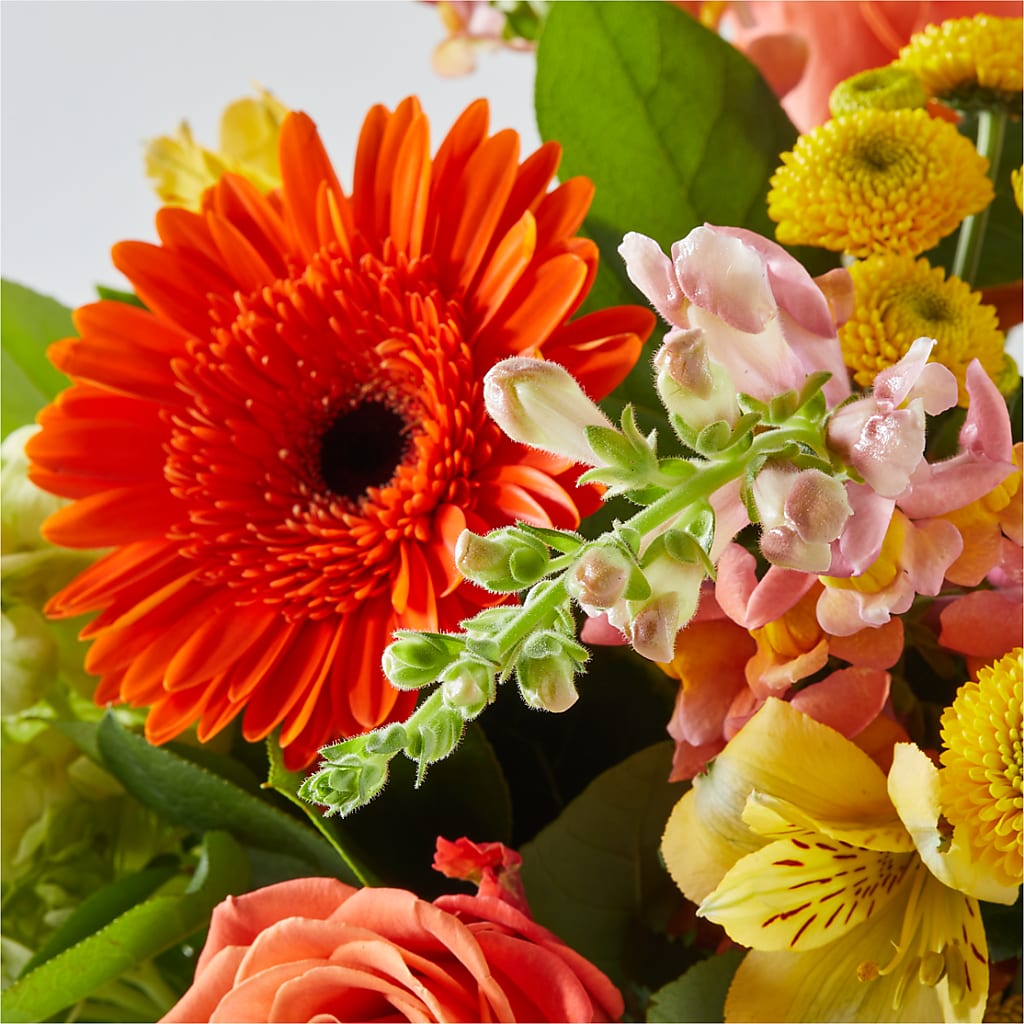 Autumn Sunshine Bouquet –  Noor Florist Llc, Lake Villa IL