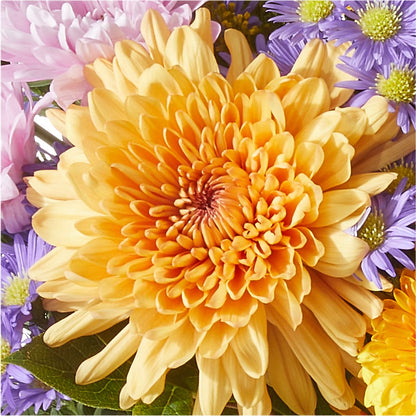 Countryside Bouquet –  Noor Florist Llc, Lake Villa IL
