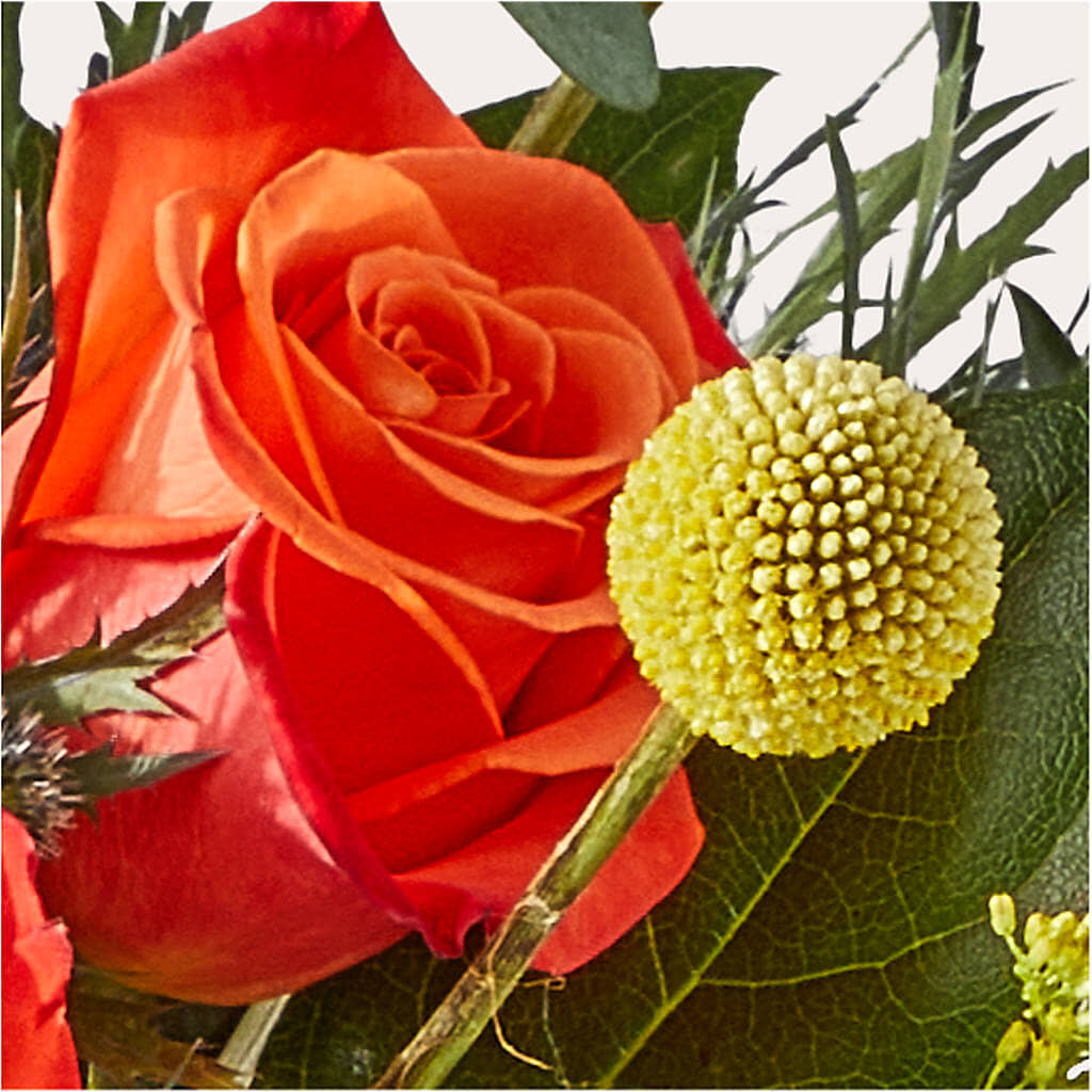Disco Bouquet –  Noor Florist Llc, Lake Villa IL