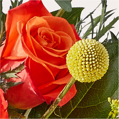 Disco Bouquet –  Noor Florist Llc, Lake Villa IL