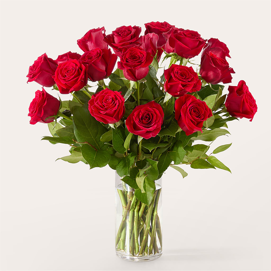 The One Red Rose Bouquet –  Noor Florist Llc, Lake Villa IL