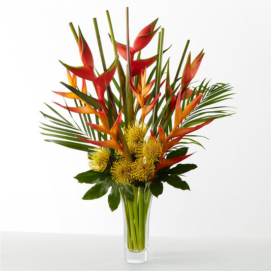 The Drama –  Noor Florist Llc, Lake Villa IL