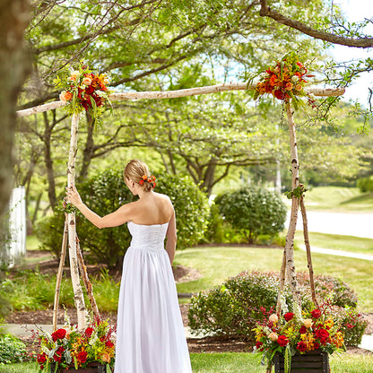 Arbor of Love Archway –  Noor Florist Llc, Lake Villa IL