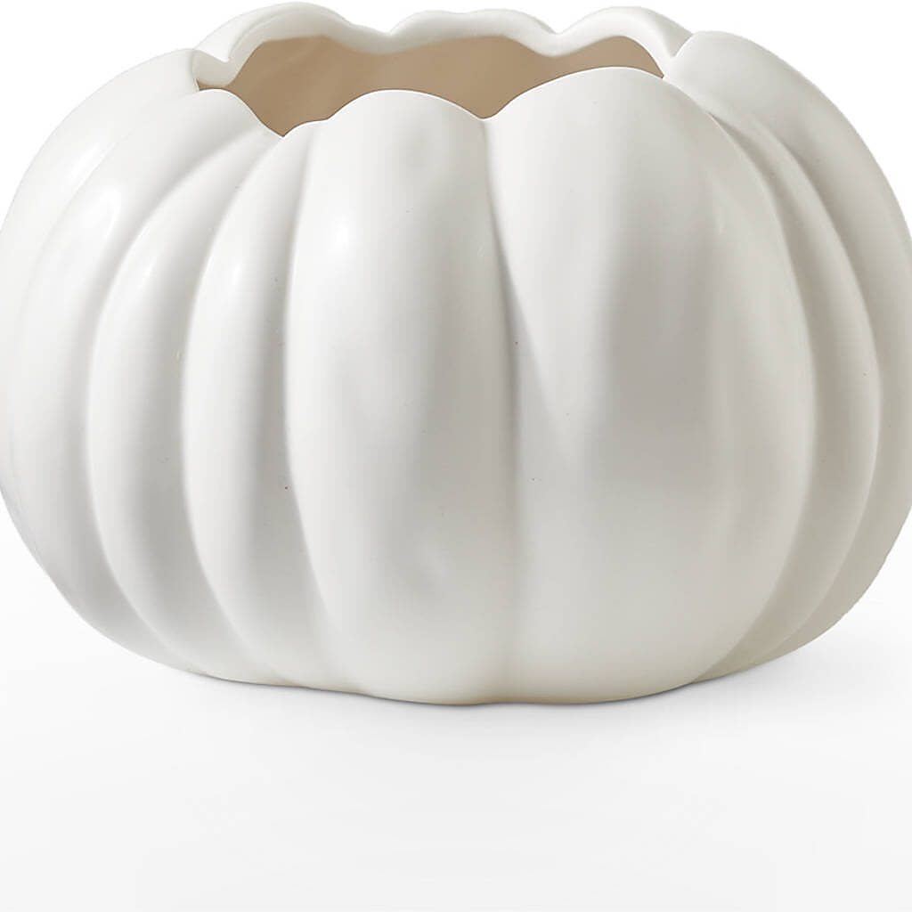 Autumn Air Pumpkin Bouquet –  Noor Florist Llc, Lake Villa IL